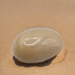 SAVON NATURE LAIT DE CHÈVRE BIO