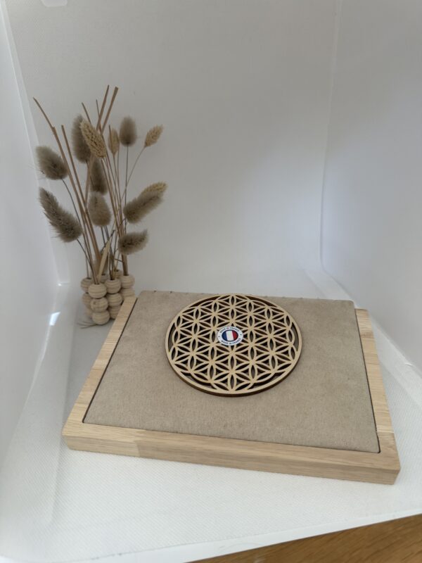 Plaque fleur de vie