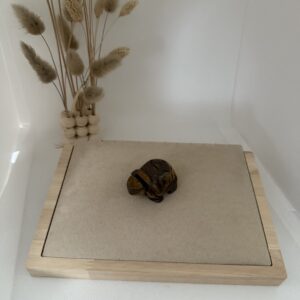 Tortue en œil de tigre