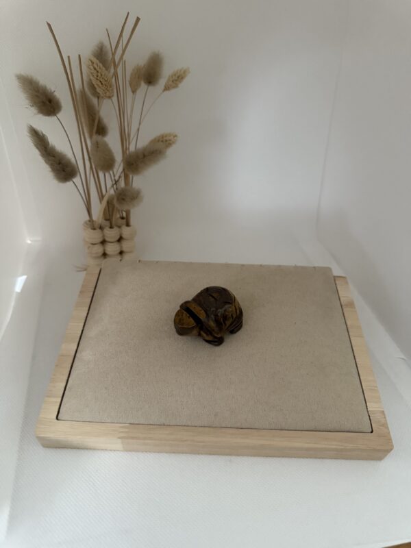 Tortue en œil de tigre