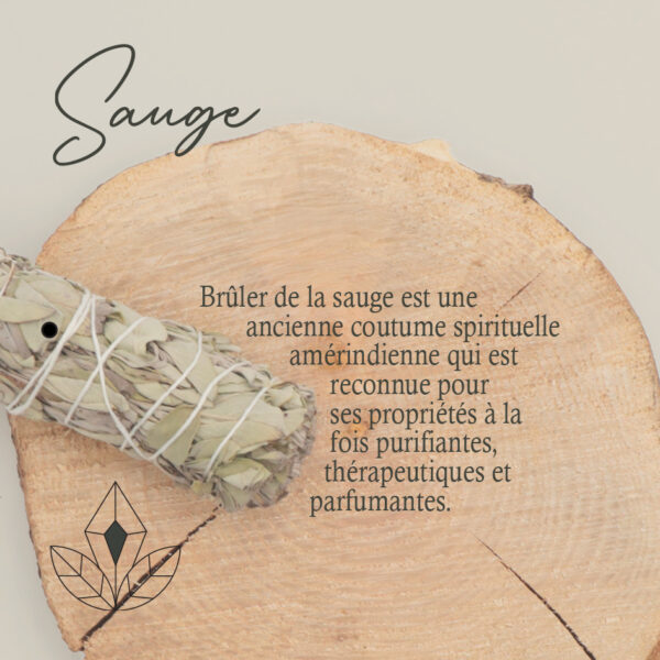 Bâton de sauge blanche avec poudre d’encens rouge – Image 2