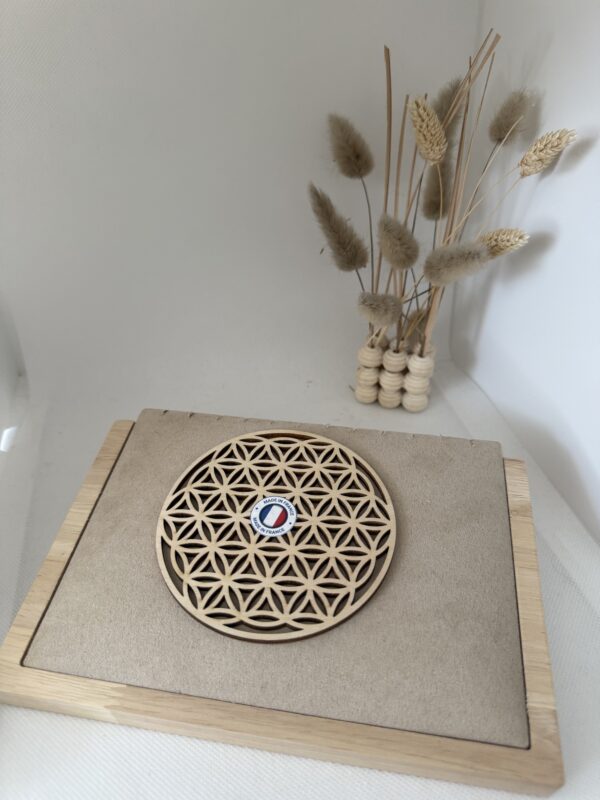 Plaque de rechargement