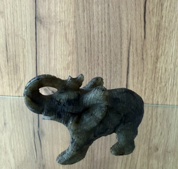 Elephant en Labradorite