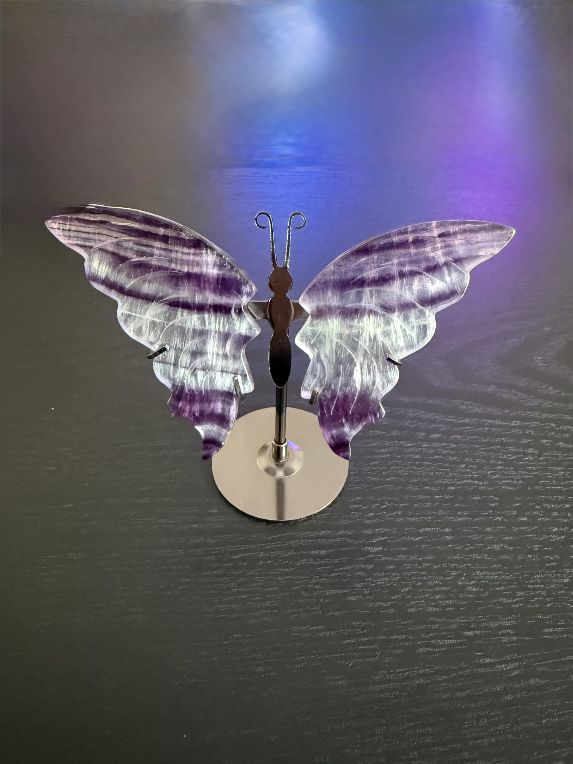 Papillon en fluorine rainbow – Image 2