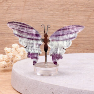 Papillon en fluorine rainbow