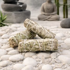 Bâton de Sauge blanche ~ menthe